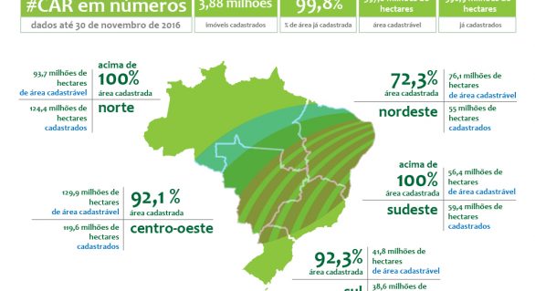 Alagoas registra menos de 50% de áreas registradas no CAR