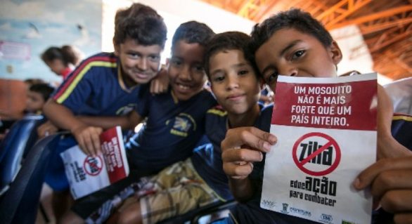 Alagoas garante mais de R$ 400 mil para pesquisa sobre Zika Vírus