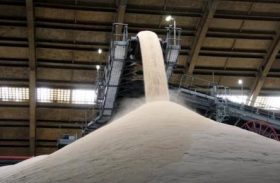 Produção acumulada de açúcar chega a 1,3 milhão de toneladas
