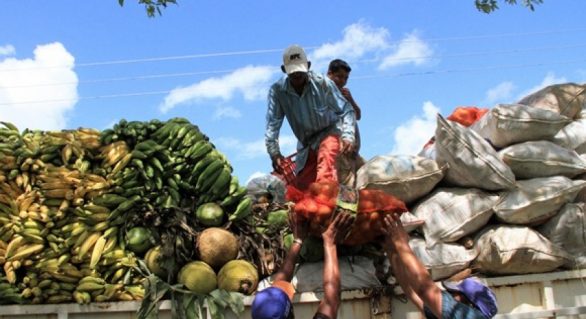 Governo potencializa investimentos a pequenos agricultores no Sertão contra crise