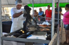 Secretaria de Agricultura realiza Feira do Peixe Vivo na Semana Santa em Maceió