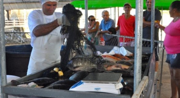 Secretaria de Agricultura realiza Feira do Peixe Vivo na Semana Santa em Maceió