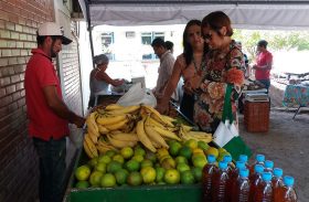 Sexta edição da feira orgânica incentiva o consumo de alimentos saudáveis