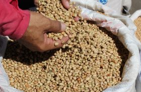 Preço do feijão cai em sete capitais nordestinas; maior redução foi em Maceió