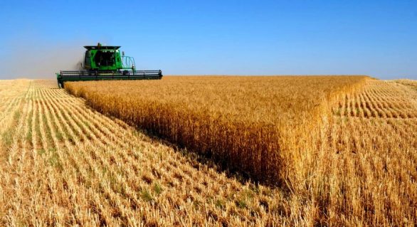 Safra de grãos 2016/2017 deve chegar a 227,9 milhões de toneladas