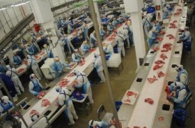 Brasil quer contratar 1,6 mil fiscais após EUA suspenderem carne, diz secretário