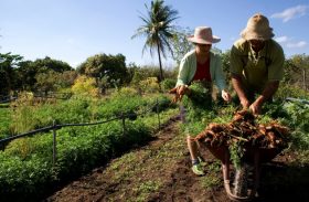 Governo do estado atrasa programa que deveria atender trabalhadores rurais