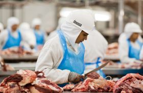 Ministro da Agricultura teme novos bloqueios após EUA suspenderem compra de carne brasileira
