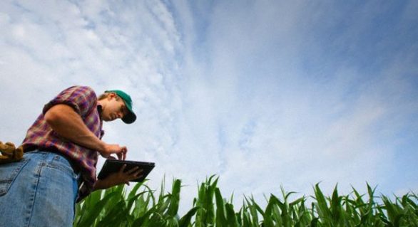 Senado aprova projeto que facilita acesso do produtor rural ao crédito