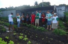 Jovens de Pindorama concluem módulo de curso em hortaliças