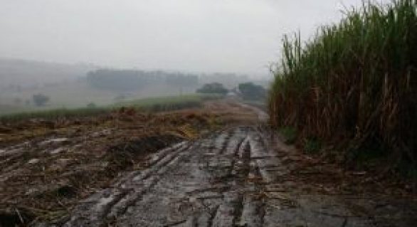 Chuvas dificultam preparo do solo para o plantio de inverno em Pindorama