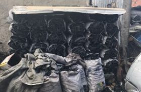 Fiscais flagram comerciante com 400 sacos de carvão em Maceió