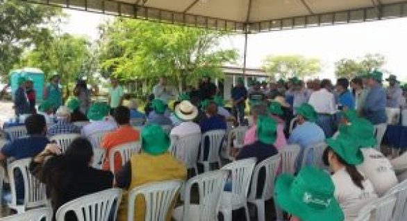 Dia de Campo encerra encontro Internacional de pastoreio em Alagoas