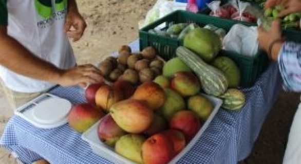 Feira na Semarh continua atraindo consumidores de produtos orgânicos