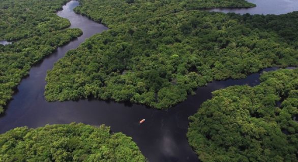 Justiça do DF suspende decretos que acabam com reserva na Amazônia