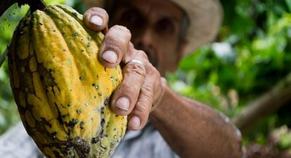 Tecnologia identifica estado nutricional de agricultores pelas unhas