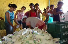 Bancada federal tentar salvar o leite de 80 mil famílias de Alagoas