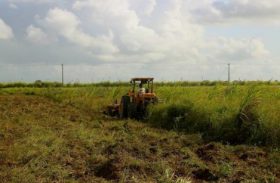Prefeitura de Pilar vai entregar 2000 metros quadrados de terra para agricultores