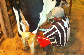 Torneio Leiteiro de Cajá dos Negros reafirma força da agricultura familiar