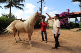 5º Alagoas Quarter Horse apresenta Tropa nesta quarta-feira (18)
