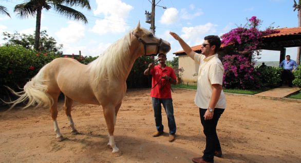 5º Alagoas Quarter Horse apresenta Tropa nesta quarta-feira (18)