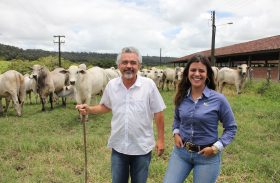 Leilão Produção Varrela oferece plantel com melhoramento morfológico