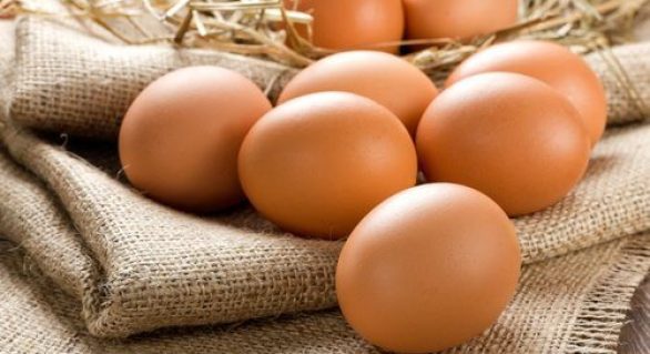 Brasil vai fornecer ovos para a África do Sul