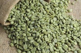 Exportação de café verde do Brasil recua 10% em novembro