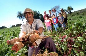“PAA estadual renova as esperanças da agricultura familiar”, diz presidente da Pindorama