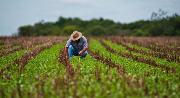 Agronegócio no Brasil contribuíram com 23,5% do PIB em 2017