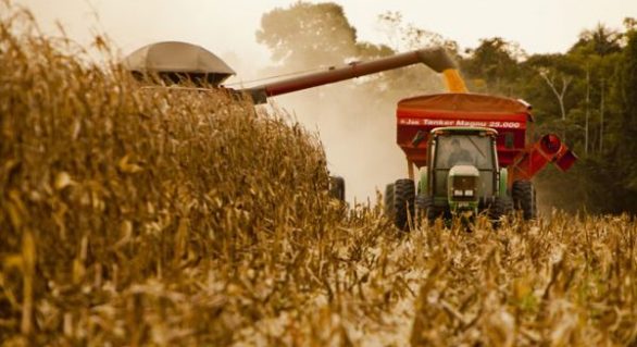 2017: Ano excepcional na produção agrícola brasileira