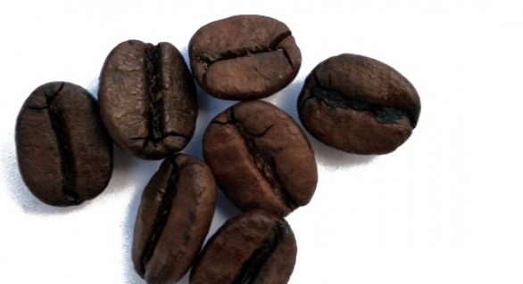 Exportação de café cresceu 25% em receita para árabes