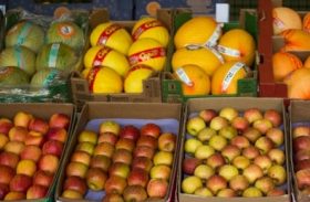 Mapa vai lançar plano para aumentar exportações de frutas