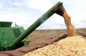 Governo libera R$ 12,5 bilhões para financiar safra agrícola de 2018 e 2019