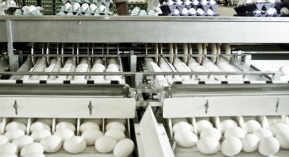 Ovos: Preços reagem nesta segunda quinzena