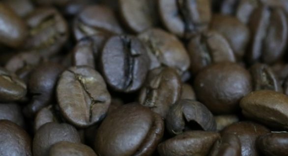 Produtividade média da cafeicultura brasileira em 2018 deverá ser a maior já registrada com 29,47 sacas por hectare