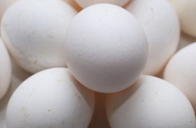 Exportação de ovos pode crescer em 2018 com abertura de novos mercados