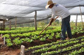 Integração é o que mais importa para agropecuária da América Latina