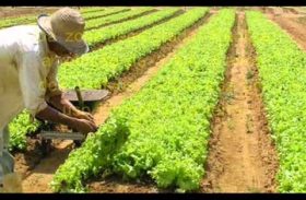 Ministério lança sistema de macrologística para a agropecuária brasileira