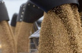 Safra recorde de grãos impulsiona melhor resultado da história para o PIB do agro