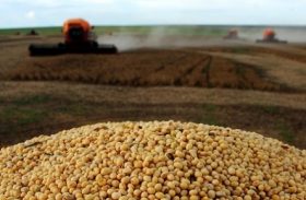 Aumentaram as exportações brasileiras de farelo de soja