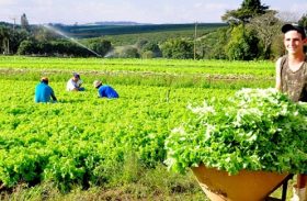 O verdadeiro papel e lugar da agricultura familiar no desenvolvimento rural