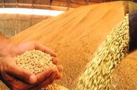 Mesmo com redução de 3,4%, safra de grãos é segundo recorde no país