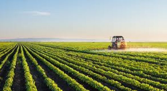 Valor da Produção Agropecuária de 2018 é estimada em R$ 530,1 bilhões