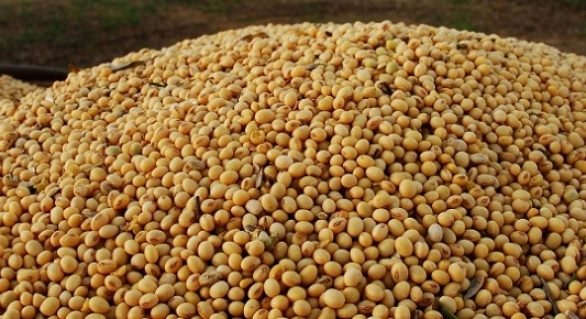 Safras eleva estimativa de exportação de soja do Brasil em 2018/19 para 70,5 mi t