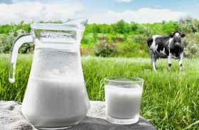 A importância do consumo e produção leiteira em AL