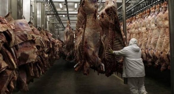 Brasil já deixou de exportar US$ 60 milhões em carnes por causa de greve