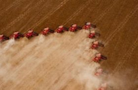Cooperativas agropecuárias do Brasil faturaram R$ 200 bilhões em 2017