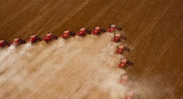 Cooperativas agropecuárias do Brasil faturaram R$ 200 bilhões em 2017