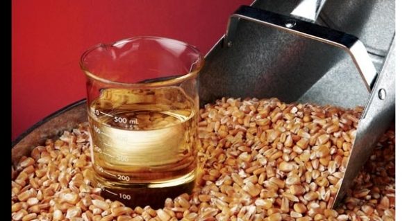 Produção de etanol deve aumentar consumo de milho